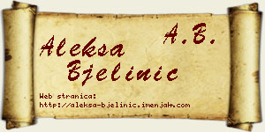 Aleksa Bjelinić vizit kartica